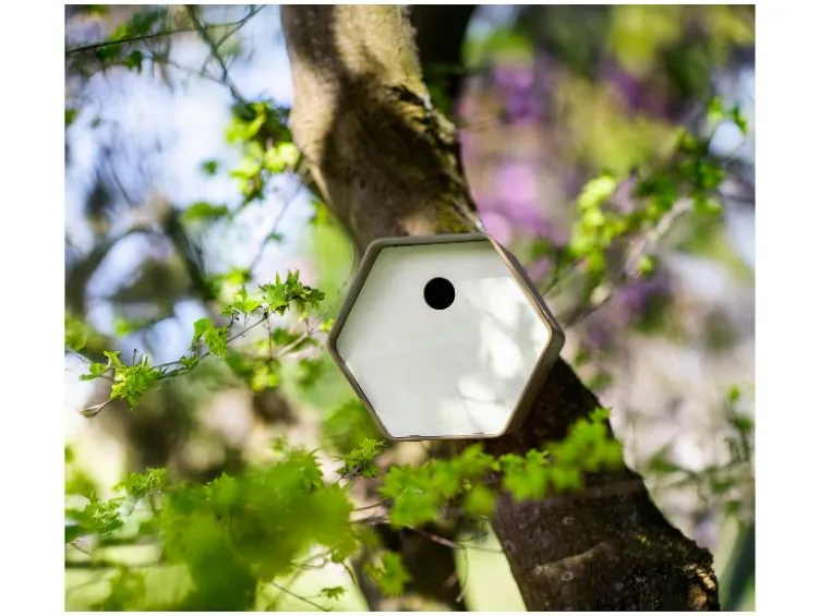 Vogelhäuschen »Hive 1«