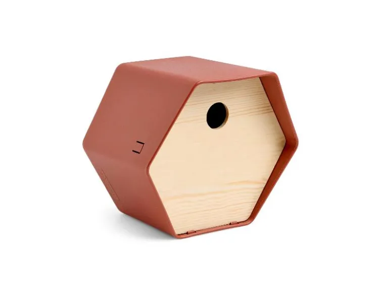 Vogelhäuschen »Hive 1«
