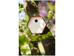 Vogelhäuschen »Hive 1«