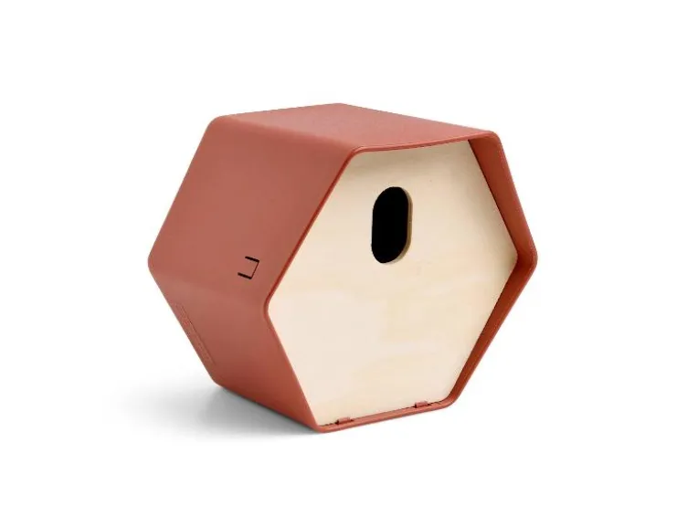 Vogelhäuschen »Hive 2«