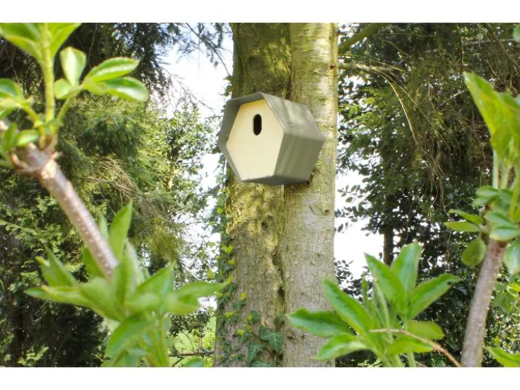 Vogelhäuschen »Hive 2«