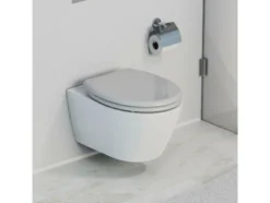 WC Sitz, mit Absenkautomatik und Schnellverschluss