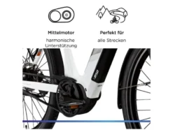X850 E- Bike, Gates Carbon Antriebsriemen