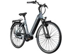X600 E-City Bosch Mittelmotor