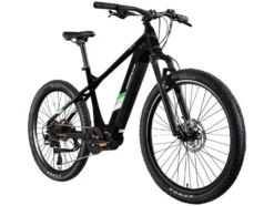 X900 E- MTB