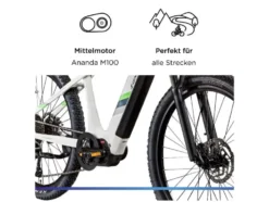X900 E- MTB