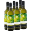 6 x 0,75-l-Flasche Weinpaket DELUXE Sauvignon Blanc Valle del Maule Chile trocken vegan, Weißwein