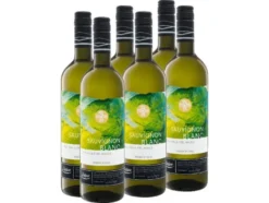 6 x 0,75-l-Flasche Weinpaket DELUXE Sauvignon Blanc Valle del Maule Chile trocken vegan, Weißwein