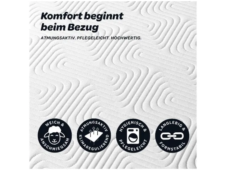 7-Zonen-Matratze BALANCE »KS 1.000«